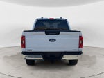 2023 F-150 Thumbnail 6