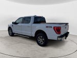 2023 F-150 Thumbnail 7