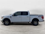 2023 F-150 Thumbnail 8
