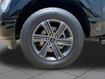 2023 F-150 Thumbnail 11