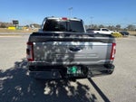 2023 F-150 Thumbnail 6