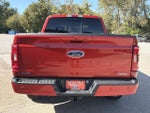 2023 F-150 Thumbnail 6