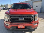 2023 F-150 Thumbnail 10