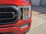 2023 F-150 Thumbnail 11