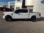 2023 F-150 Thumbnail 5