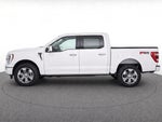 2021 F-150 Thumbnail 8