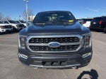 2021 F-150 Thumbnail 2