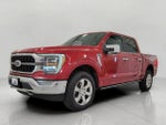 2021 F-150 Thumbnail 12