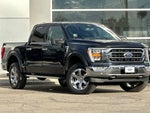 2021 F-150 Thumbnail 2