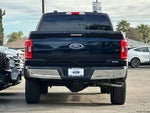 2021 F-150 Thumbnail 5