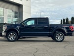 2021 F-150 Thumbnail 7