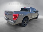 2021 F-150 Thumbnail 12