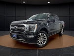 2021 F-150 Thumbnail 3