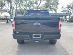 2021 F-150 Thumbnail 8