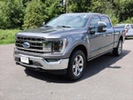2021 F-150 Thumbnail 3