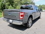2021 F-150 Thumbnail 7