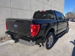 2021 F-150 Thumbnail 7