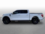 2021 F-150 Thumbnail 4