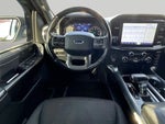 2021 F-150 Thumbnail 11