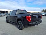2021 F-150 Thumbnail 2