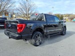 2021 F-150 Thumbnail 5