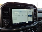 2021 F-150 Thumbnail 12