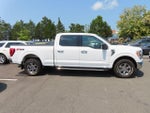 2021 F-150 Thumbnail 4