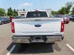2021 F-150 Thumbnail 6