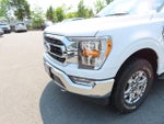 2021 F-150 Thumbnail 8