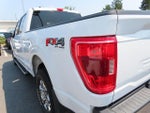2021 F-150 Thumbnail 12