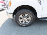 2021 F-150 Thumbnail 13