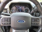 2021 F-150 Thumbnail 19