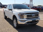 2021 F-150 Thumbnail 4