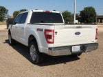 2021 F-150 Thumbnail 2
