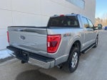 2021 F-150 Thumbnail 7