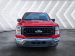 2021 F-150 Thumbnail 2