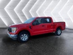 2021 F-150 Thumbnail 3