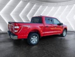 2021 F-150 Thumbnail 5