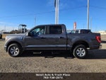 2022 F-150 Thumbnail 6