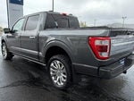 2022 F-150 Thumbnail 1