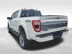 2022 F-150 Thumbnail 8