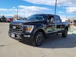 2022 F-150 Thumbnail 4