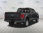 2022 F-150 Thumbnail 2