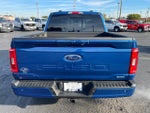 2022 F-150 Thumbnail 6