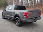 2022 F-150 Thumbnail 6