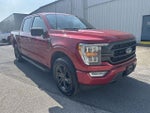 2022 F-150 Thumbnail 11