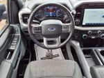 2022 F-150 Thumbnail 10