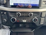 2022 F-150 Thumbnail 17