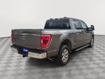 2023 F-150 Thumbnail 5