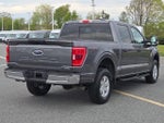2023 F-150 Thumbnail 3